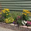 A raised garden bed with a variety of colorful flowers, including yellow, purple, pink, and white blooms, is shown in front of a green building with horizontal siding on a sunny day.