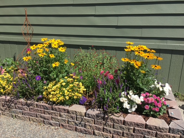 A raised garden bed with a variety of colorful flowers, including yellow, purple, pink, and white blooms, is shown in front of a green building with horizontal siding on a sunny day.