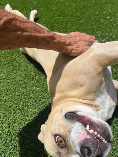 ￼❤️😇😆￼ Roxy